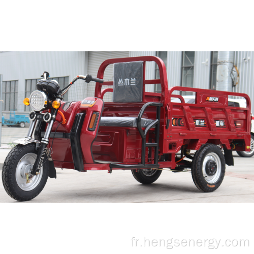 Tricycle électrique de haute qualité partout dans le monde